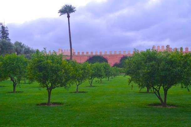 A Marrakech 1 (23)