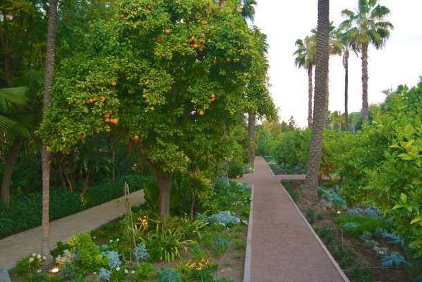 A Marrakech 1 (26)