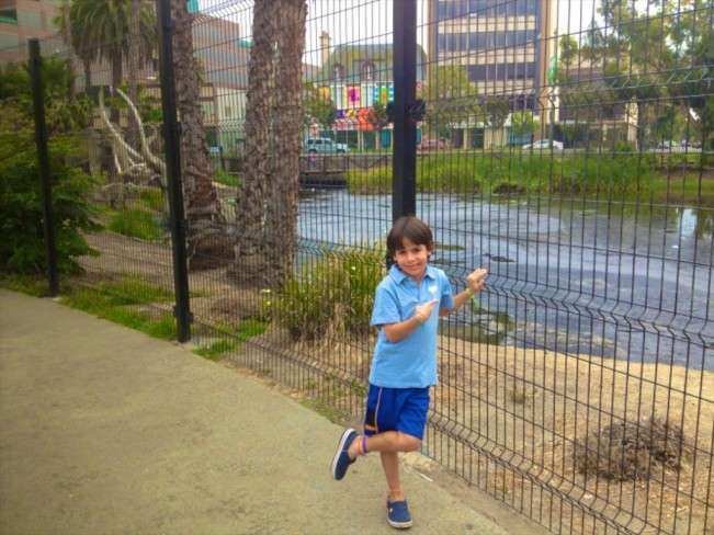 Los Angeles Tar Pits